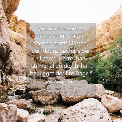 Picture 04 - Johannes 11:39 DA1871 - Jesus siger: „Tager Stenen bort!“ Martha, den - Bible Verse Picture