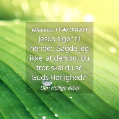 Picture 04 - Johannes 11:40 DA1871 - Jesus siger til hende: „Sagde jeg ikke, at - Bible Verse Picture