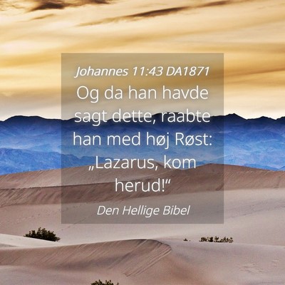 Picture 04 - Johannes 11:43 DA1871 - Og da han havde sagt dette, raabte han med høj - Bible Verse Picture