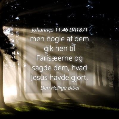 Picture 04 - Johannes 11:46 DA1871 - men nogle af dem gik hen til Farisæerne og sagde - Bible Verse Picture