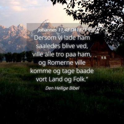 Picture 04 - Johannes 11:48 DA1871 - Dersom vi lade ham saaledes blive ved, ville alle - Bible Verse Picture