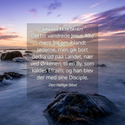 Picture 04 - Johannes 11:54 DA1871 - Derfor vandrede Jesus ikke mere frit om iblandt - Bible Verse Picture