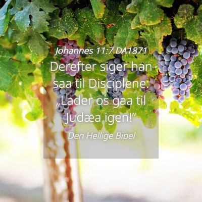 Picture 04 - Johannes 11:7 DA1871 - Derefter siger han saa til Disciplene: „Lader - Bible Verse Picture