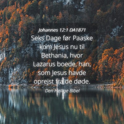 Picture 04 - Johannes 12:1 DA1871 - Seks Dage før Paaske kom Jesus nu til Bethania, - Bible Verse Picture