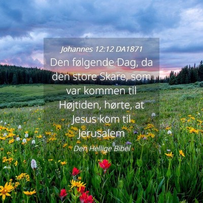 Picture 04 - Johannes 12:12 DA1871 - Den følgende Dag, da den store Skare, som var - Bible Verse Picture