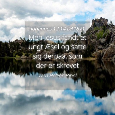 Picture 04 - Johannes 12:14 DA1871 - Men Jesus fandt et ungt Æsel og satte sig - Bible Verse Picture