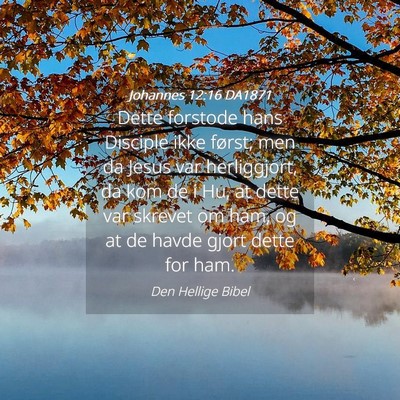 Picture 04 - Johannes 12:16 DA1871 - Dette forstode hans Disciple ikke først; men da - Bible Verse Picture