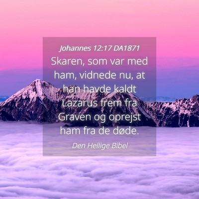 Picture 04 - Johannes 12:17 DA1871 - Skaren, som var med ham, vidnede nu, at han havde - Bible Verse Picture