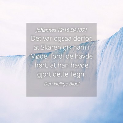 Picture 04 - Johannes 12:18 DA1871 - Det var ogsaa derfor, at Skaren gik ham i Møde, - Bible Verse Picture