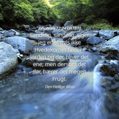 Picture 04 - Johannes 12:24 DA1871 - Sandelig, sandelig, siger jeg eder, hvis ikke - Bible Verse Picture