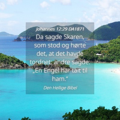Picture 04 - Johannes 12:29 DA1871 - Da sagde Skaren, som stod og hørte det, at det - Bible Verse Picture
