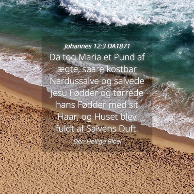 Picture 04 - Johannes 12:3 DA1871 - Da tog Maria et Pund af ægte, saare kostbar - Bible Verse Picture