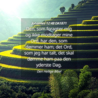 Picture 04 - Johannes 12:48 DA1871 - Den, som foragter mig og ikke modtager mine Ord, - Bible Verse Picture