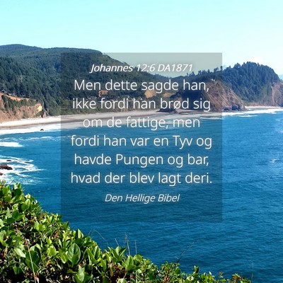 Picture 04 - Johannes 12:6 DA1871 - Men dette sagde han, ikke fordi han brød sig om - Bible Verse Picture