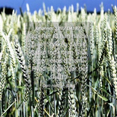 Picture 04 - Johannes 13:27 DA1871 - Og efter at han havde faaet Stykket, da gik Satan - Bible Verse Picture