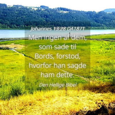 Picture 04 - Johannes 13:28 DA1871 - Men ingen af dem, som sade til Bords, forstod, - Bible Verse Picture