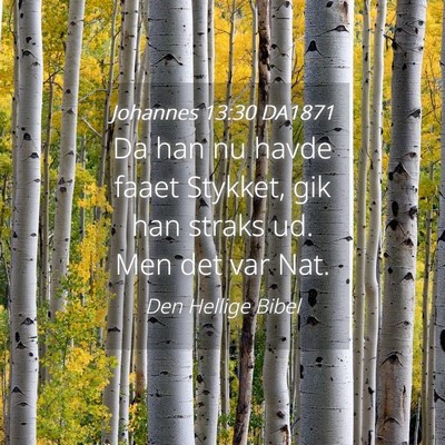 Picture 04 - Johannes 13:30 DA1871 - Da han nu havde faaet Stykket, gik han straks ud. - Bible Verse Picture