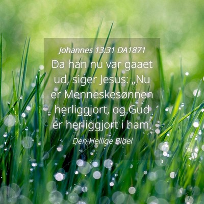 Picture 04 - Johannes 13:31 DA1871 - Da han nu var gaaet ud, siger Jesus: „Nu er - Bible Verse Picture