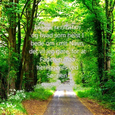 Picture 04 - Johannes 14:13 DA1871 - og hvad som helst I bede om i mit Navn, det vil - Bible Verse Picture
