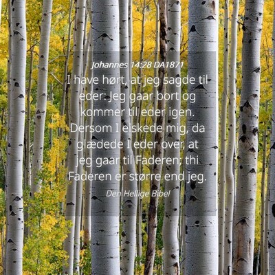 Picture 04 - Johannes 14:28 DA1871 - I have hørt, at jeg sagde til eder: Jeg gaar - Bible Verse Picture