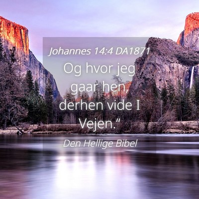 Picture 04 - Johannes 14:4 DA1871 - Og hvor jeg gaar hen, derhen vide I - Bible Verse Picture