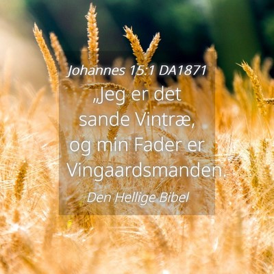 Picture 04 - Johannes 15:1 DA1871 - „Jeg er det sande Vintræ, og min Fader er - Bible Verse Picture
