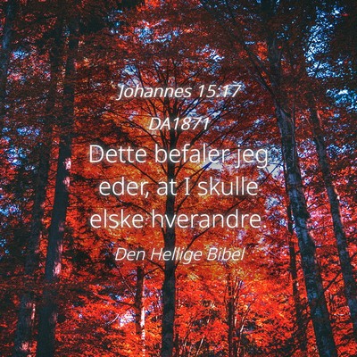 Picture 04 - Johannes 15:17 DA1871 - Dette befaler jeg eder, at I skulle elske - Bible Verse Picture