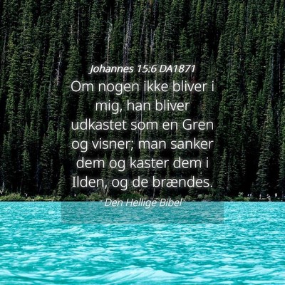 Picture 04 - Johannes 15:6 DA1871 - Om nogen ikke bliver i mig, han bliver udkastet - Bible Verse Picture