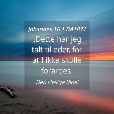 Picture 04 - Johannes 16:1 DA1871 - „Dette har jeg talt til eder, for at I ikke - Bible Verse Picture