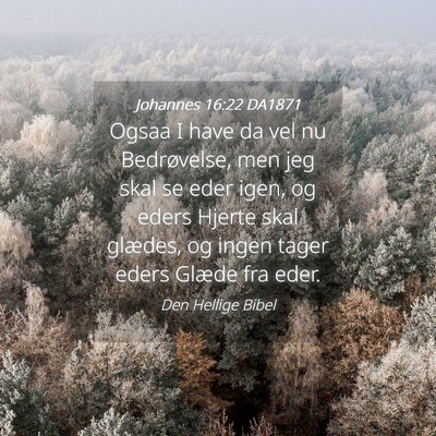 Picture 04 - Johannes 16:22 DA1871 - Ogsaa I have da vel nu Bedrøvelse, men jeg skal - Bible Verse Picture
