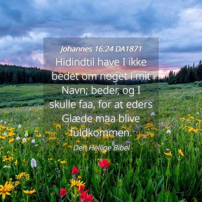 Picture 04 - Johannes 16:24 DA1871 - Hidindtil have I ikke bedet om noget i mit Navn; - Bible Verse Picture