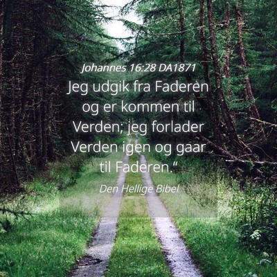Picture 04 - Johannes 16:28 DA1871 - Jeg udgik fra Faderen og er kommen til Verden; - Bible Verse Picture