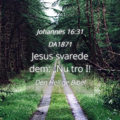 Picture 04 - Johannes 16:31 DA1871 - Jesus svarede dem: „Nu tro - Bible Verse Picture