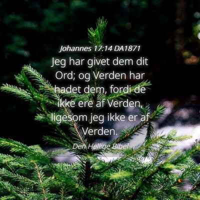 Picture 04 - Johannes 17:14 DA1871 - Jeg har givet dem dit Ord; og Verden har hadet - Bible Verse Picture