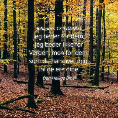Picture 04 - Johannes 17:9 DA1871 - Jeg beder for dem; jeg beder ikke for Verden, men - Bible Verse Picture