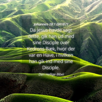 Picture 04 - Johannes 18:1 DA1871 - Da Jesus havde sagt dette, gik han ud med sine - Bible Verse Picture
