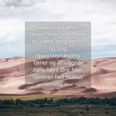 Picture 04 - Johannes 18:10 DA1871 - Simon Peter, som havde et Sværd, drog det nu og - Bible Verse Picture