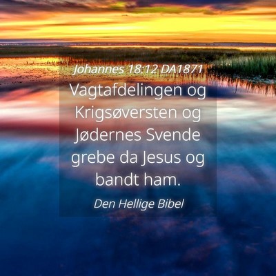Picture 04 - Johannes 18:12 DA1871 - Vagtafdelingen og Krigsøversten og Jødernes - Bible Verse Picture