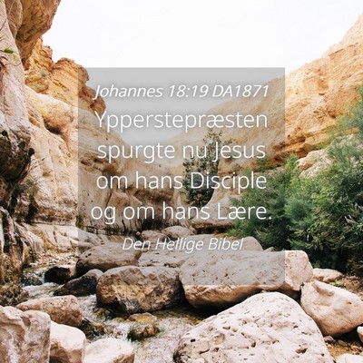 Picture 04 - Johannes 18:19 DA1871 - Ypperstepræsten spurgte nu Jesus om hans - Bible Verse Picture