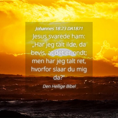Picture 04 - Johannes 18:23 DA1871 - Jesus svarede ham: „Har jeg talt ilde, da - Bible Verse Picture