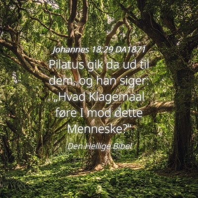 Picture 04 - Johannes 18:29 DA1871 - Pilatus gik da ud til dem, og han siger: „Hvad - Bible Verse Picture