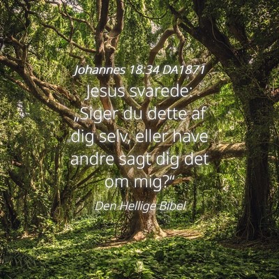 Picture 04 - Johannes 18:34 DA1871 - Jesus svarede: „Siger du dette af dig selv, - Bible Verse Picture