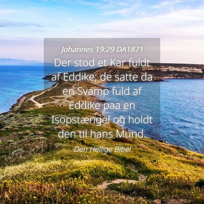 Picture 04 - Johannes 19:29 DA1871 - Der stod et Kar fuldt af Eddike; de satte da en - Bible Verse Picture