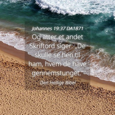 Picture 04 - Johannes 19:37 DA1871 - Og atter et andet Skriftord siger: „De skulle - Bible Verse Picture