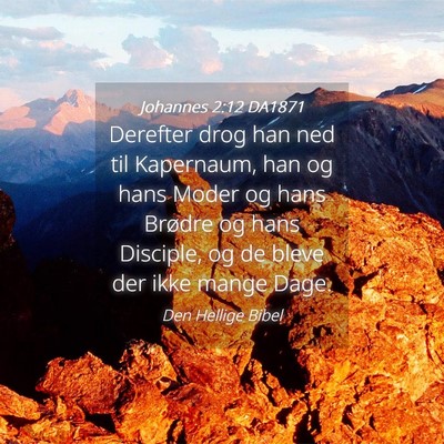 Picture 04 - Johannes 2:12 DA1871 - Derefter drog han ned til Kapernaum, han og hans - Bible Verse Picture