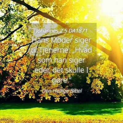 Picture 04 - Johannes 2:5 DA1871 - Hans Moder siger til Tjenerne: „Hvad som han - Bible Verse Picture