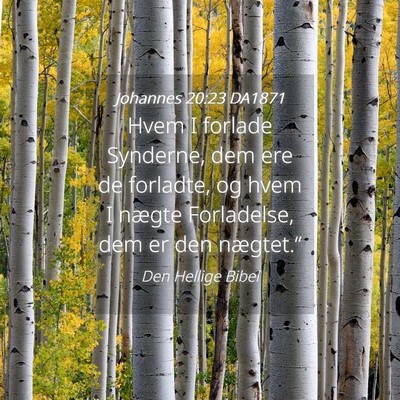 Picture 04 - Johannes 20:23 DA1871 - Hvem I forlade Synderne, dem ere de forladte, og - Bible Verse Picture