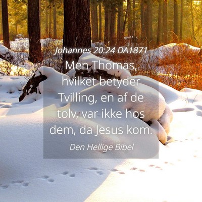 Picture 04 - Johannes 20:24 DA1871 - Men Thomas, hvilket betyder Tvilling, en af de - Bible Verse Picture