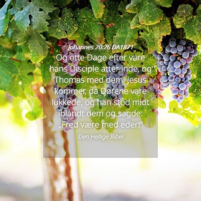Picture 04 - Johannes 20:26 DA1871 - Og otte Dage efter vare hans Disciple atter inde, - Bible Verse Picture
