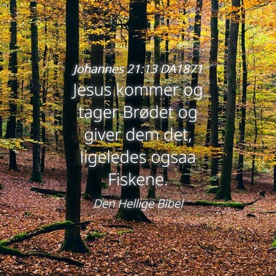 Picture 04 - Johannes 21:13 DA1871 - Jesus kommer og tager Brødet og giver dem det, - Bible Verse Picture